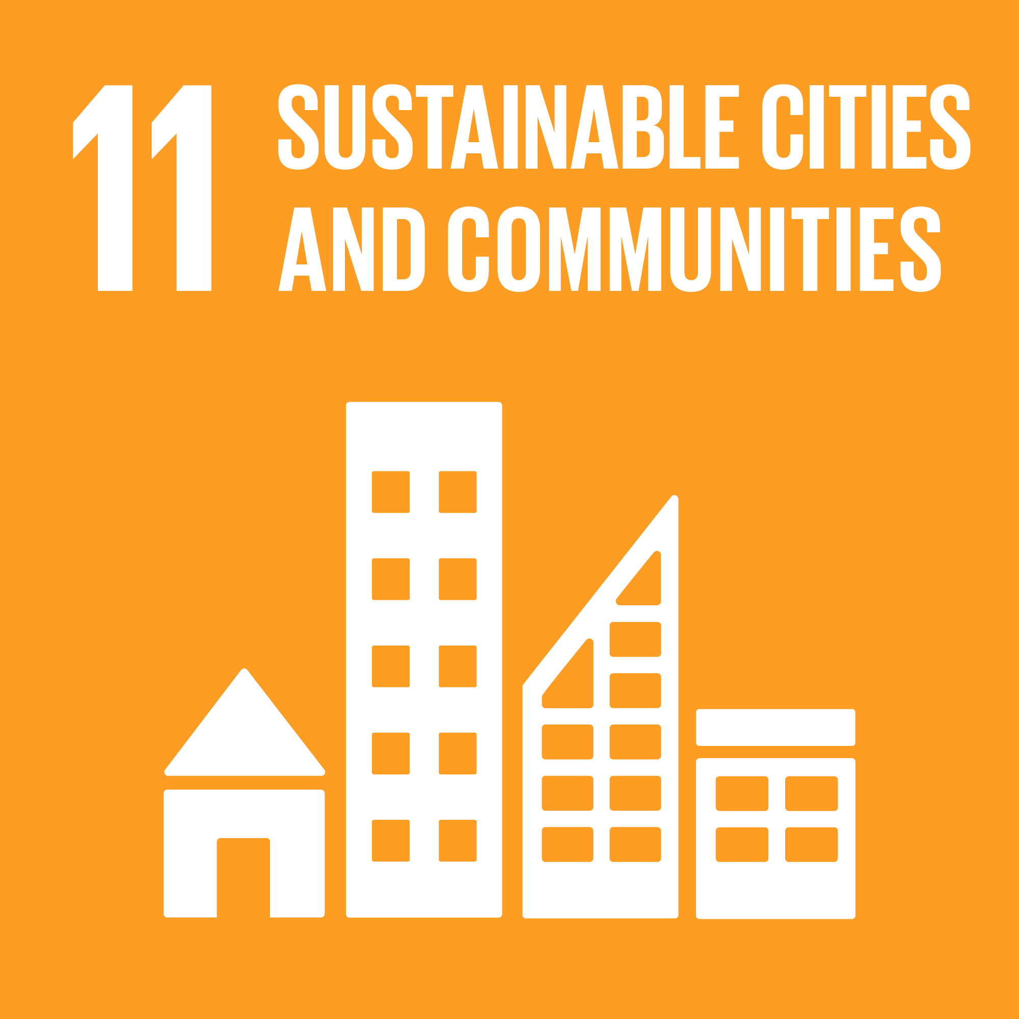 SDG 11